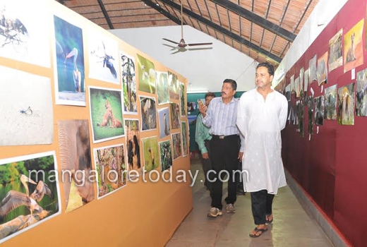 Birds, Frogs, dogs to the fore at  Pilikula wildlife week 1